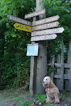 Winston on Winston Avenue, Bamfield