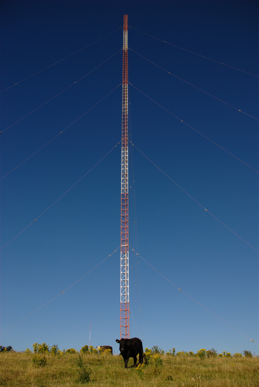 [Radio+Tower.jpg]