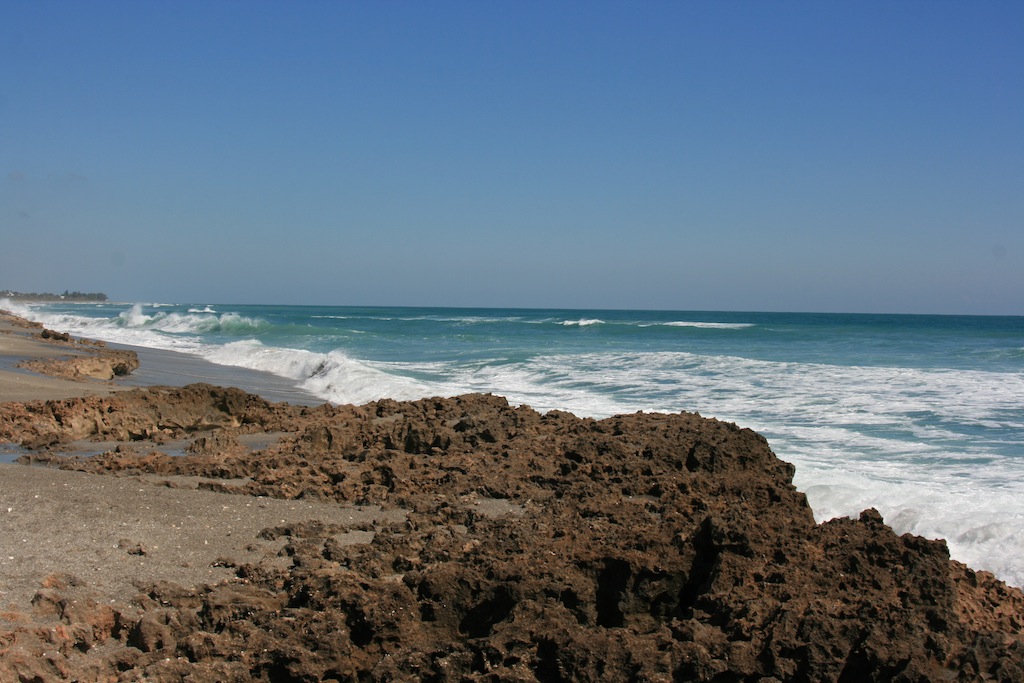 [IMG_6537.JPG]