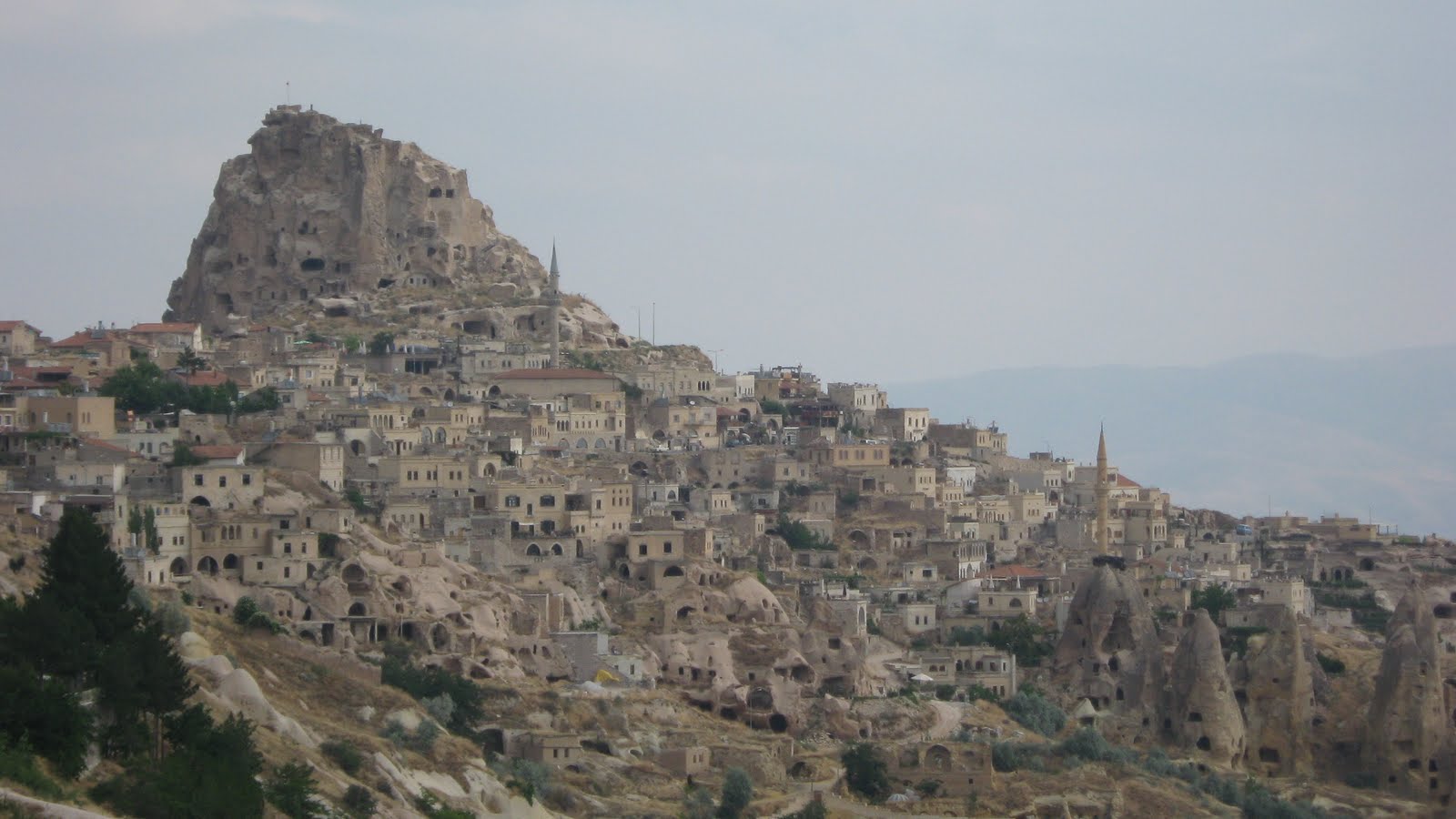 [IMG_1029.JPG]