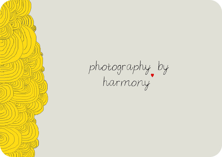 photography by harmony