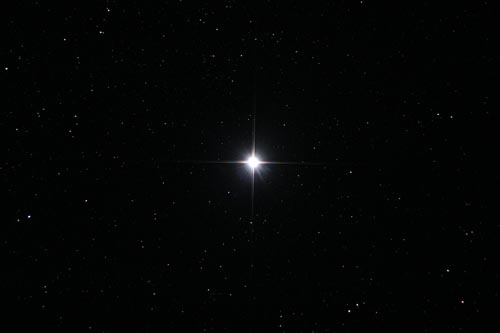 Estrela 'Evangeline' | 1 ♥ n' a dream
