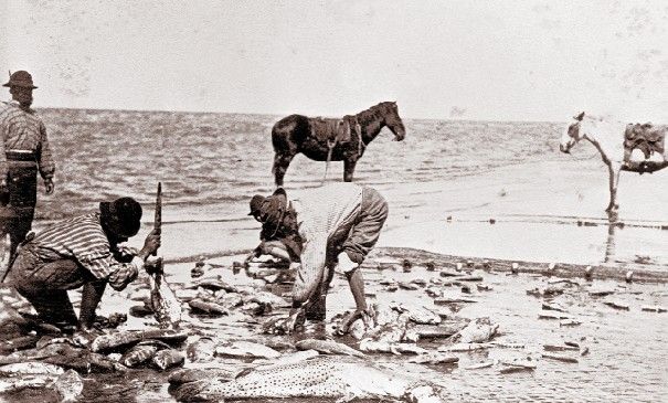 Resultado de imagen para pescadores a caballo en buenos aires