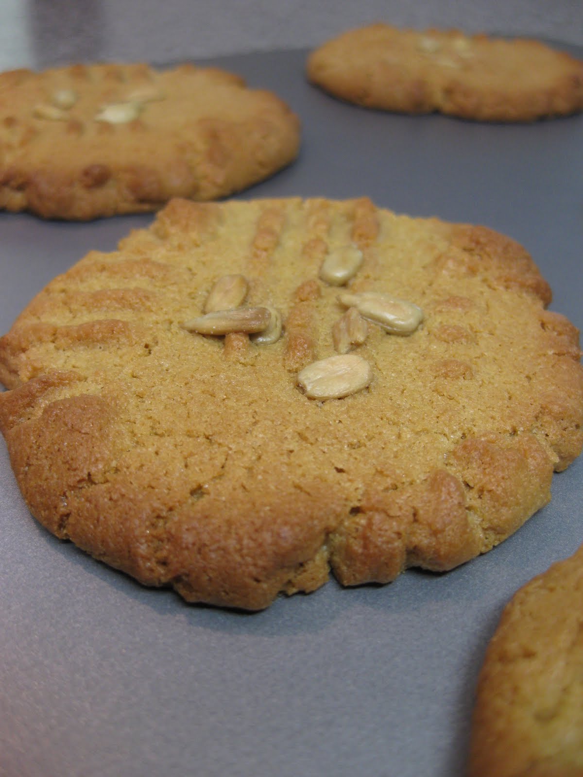 Dinner at Christina's BSI Sunflower Seeds (Sunflower Seed Butter Cookies)