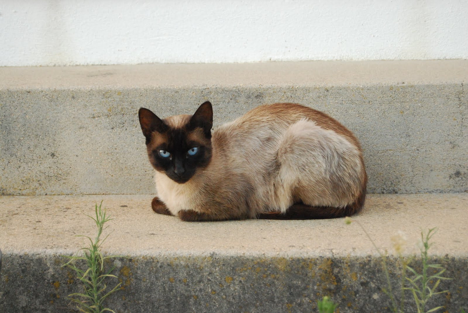 [DSC_6216.JPG]
