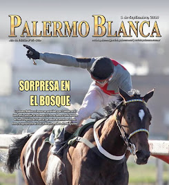 REVISTA PALERMO