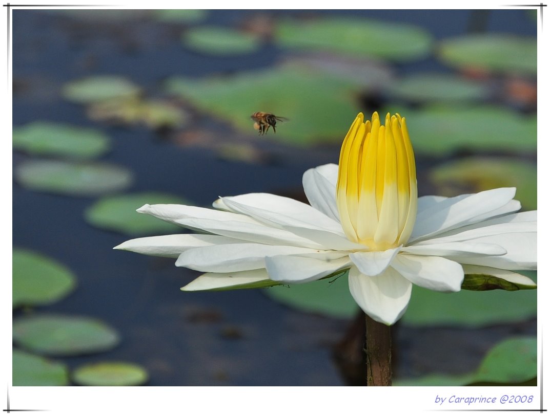 [nEO_IMG_DSC_0683.jpg]