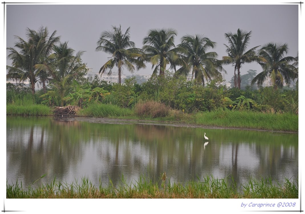 [nEO_IMG_DSC_0627.jpg]