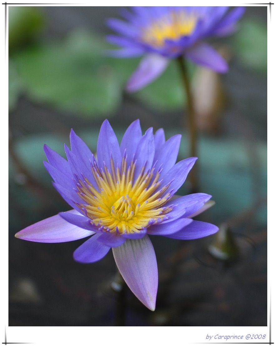 [nEO_IMG_DSC_1325.jpg]