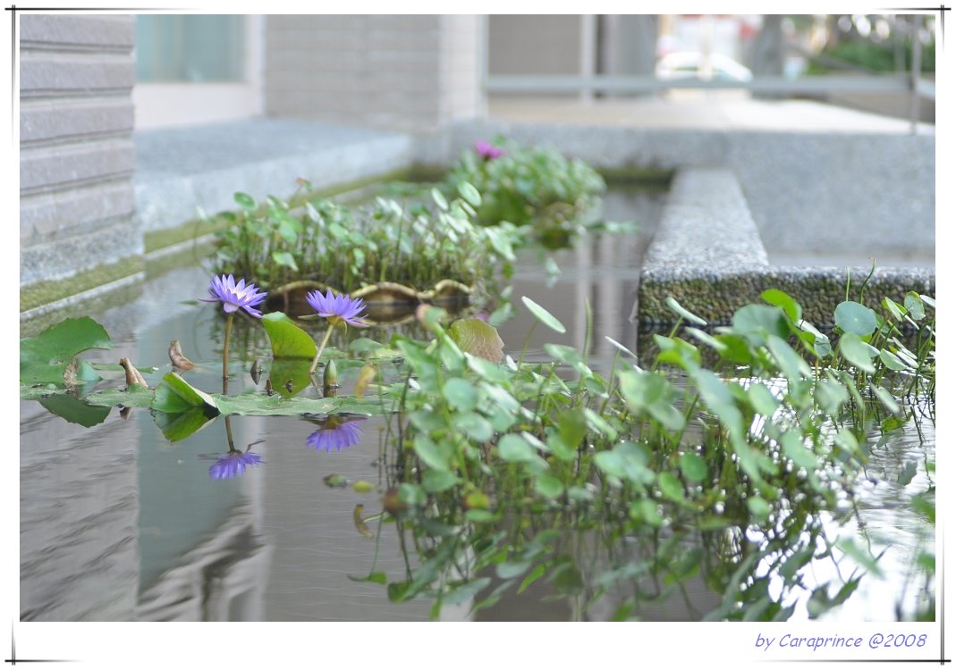 [nEO_IMG_DSC_1327.jpg]