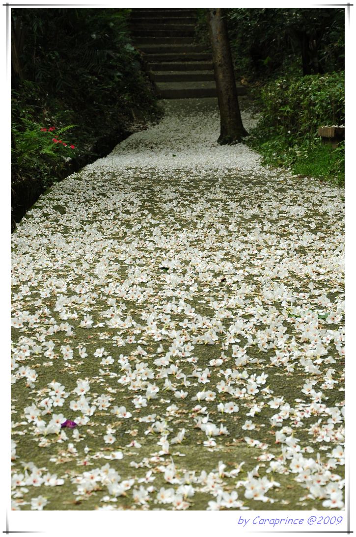 [nEO_IMG_DSC_8385.jpg]