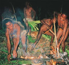 The traditinal cook in Papua highland