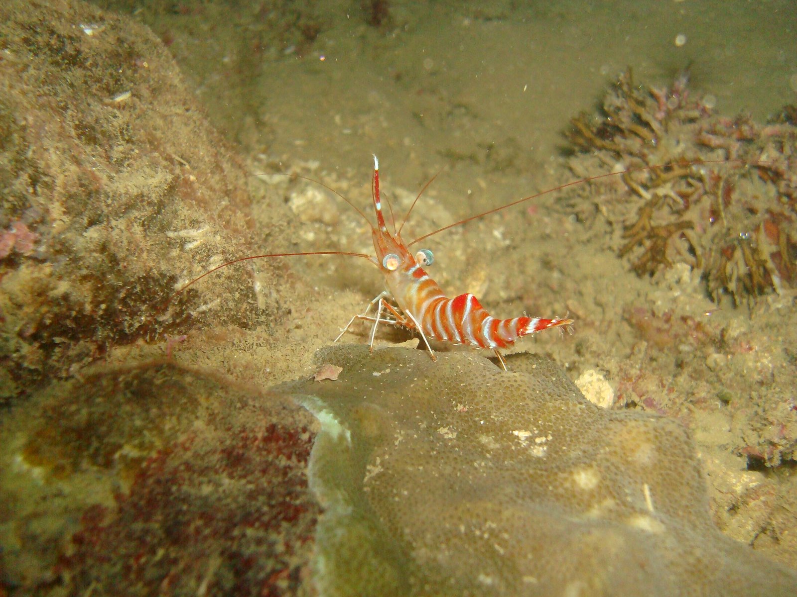 [DSC07322.JPG]
