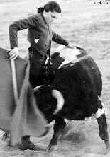 [conchita_citron.jpg]