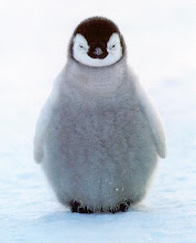 I LOVE Penguins!!!!