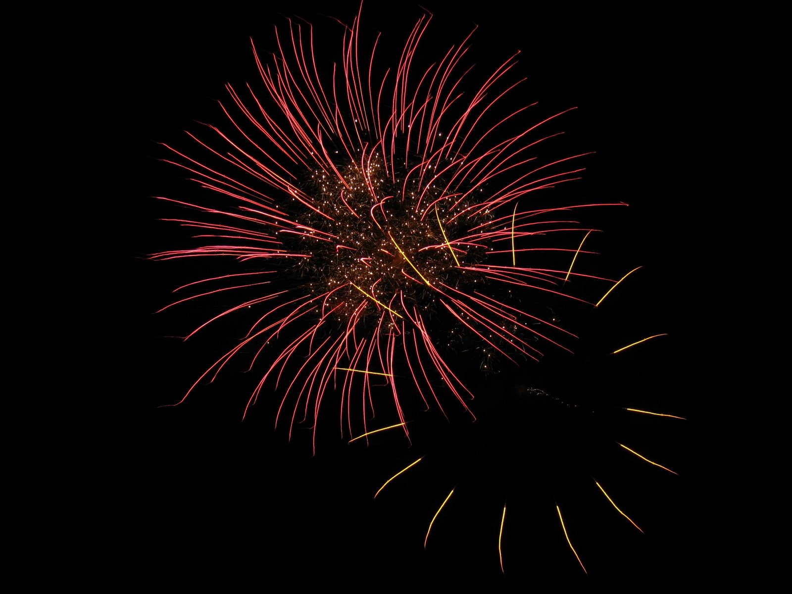 [fireworks+sm.jpg]