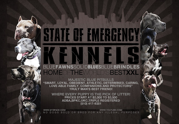 State Of Emergency Kennels S O E Kennels Own Tony Bricks On