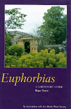 Euphorbias