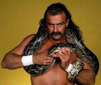 WWF - Jake "The Snake" Roberts