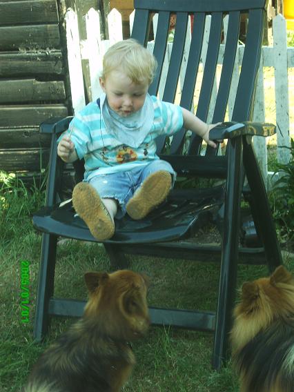 marcus sammen med morfars hunde