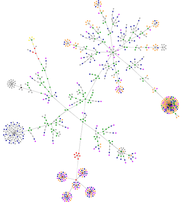 sanakae blog graph