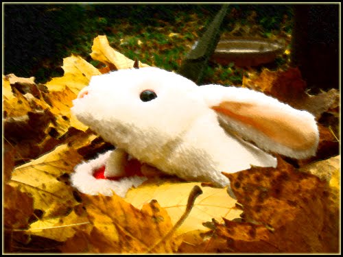 [bunny_leaves.JPG]