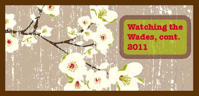 Watchin' The Wades
