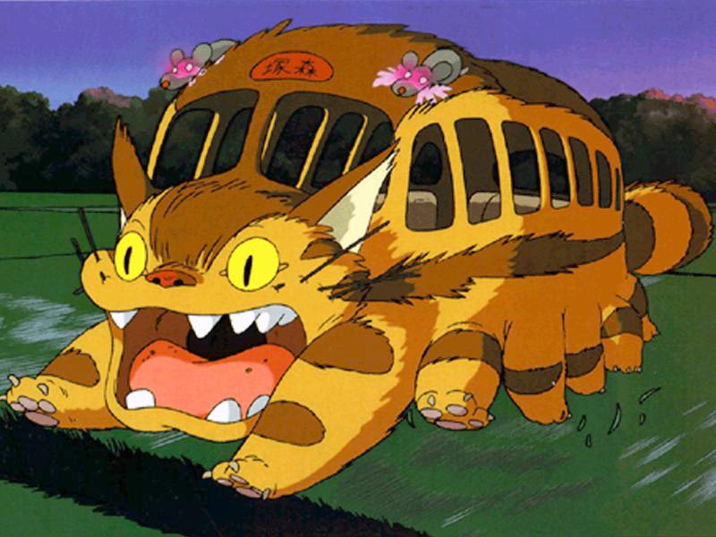 cat bus car