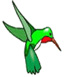 [hummingbirdlogo.gif]