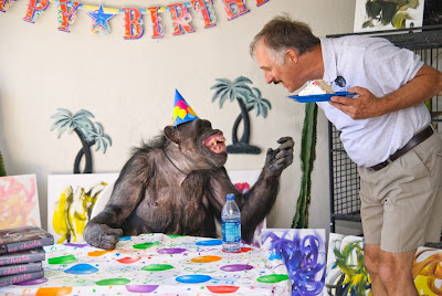 birthday happy chimp old cheeta cake kpix westfall dan tarzan