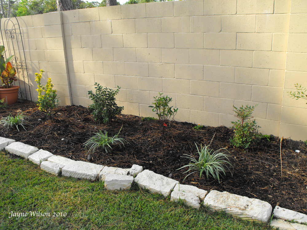 Jayne's Country Garden: October 2010