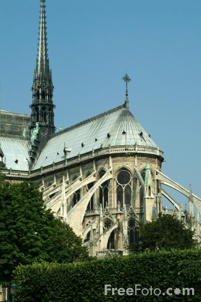 [1351_07_59---Notre-Dame-Cathedral--Paris--France_web.jpg]