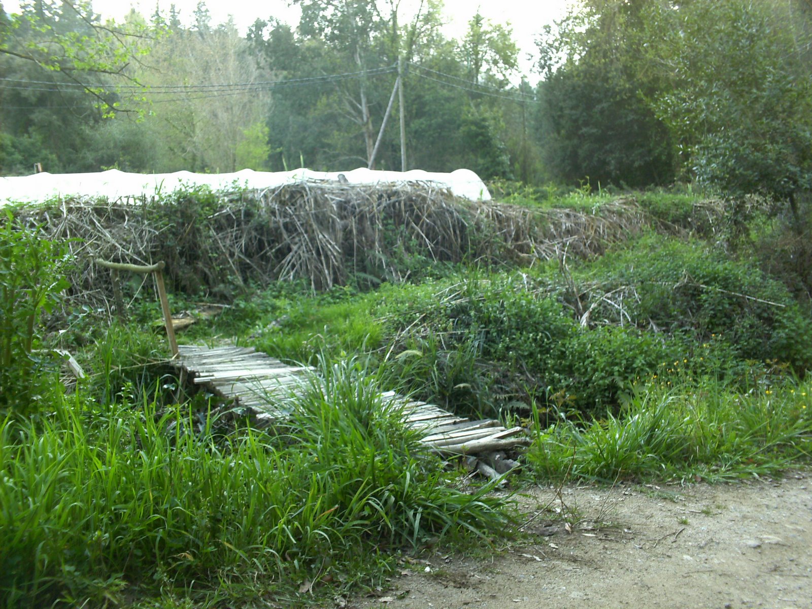 [PICT0020.JPG]