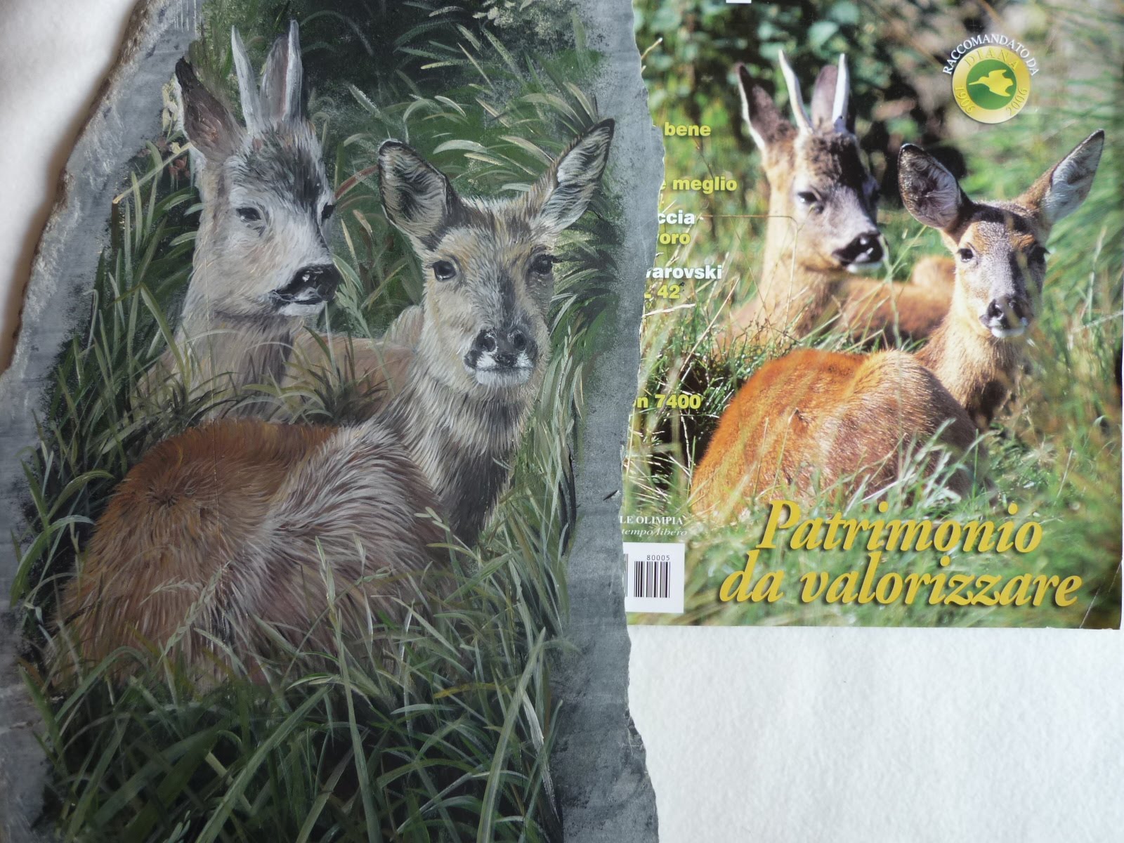 Ritrattista di animali CAPRIOLI ROES