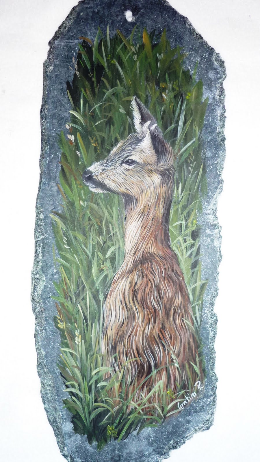 Ritrattista di animali CAPRIOLI ROES