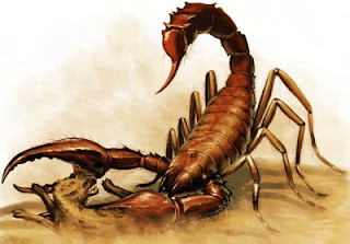 Pacto con escorpiones Escorpion+gigante
