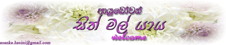 සිත් මල් යාය..