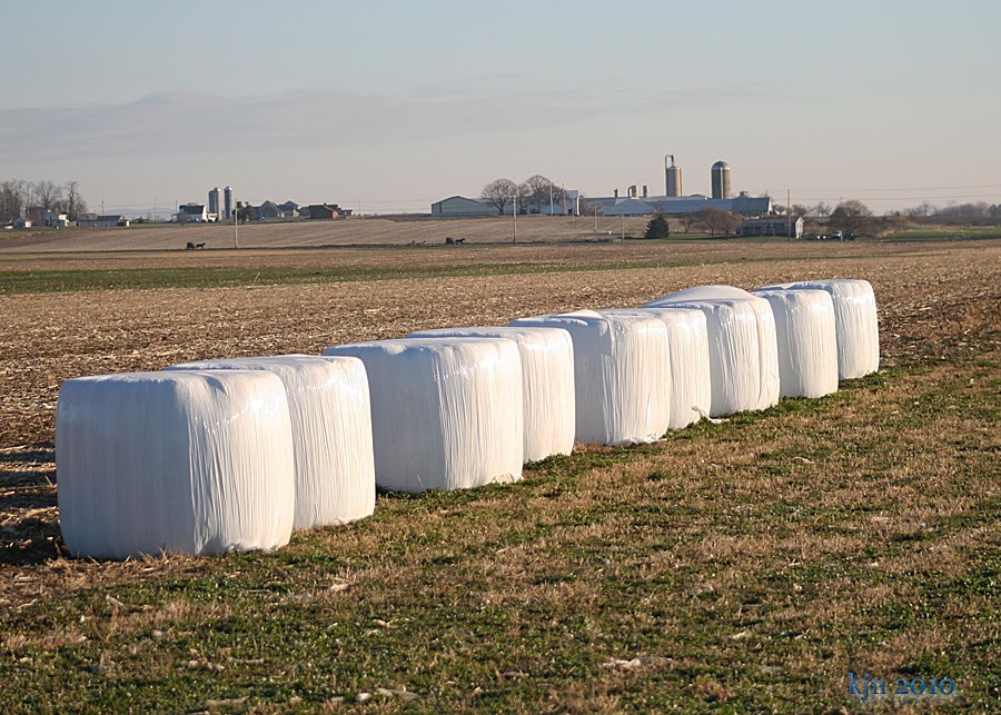 The Outskirts of Suburbia Marshmallow Farming