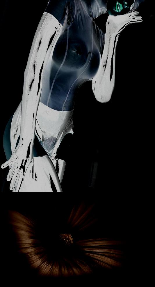 [imaculada+concepcao2.JPG]