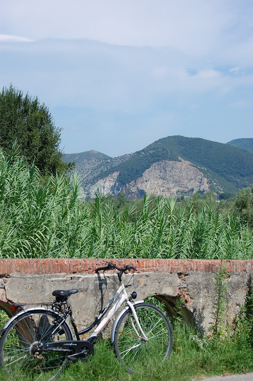italy and the bikes