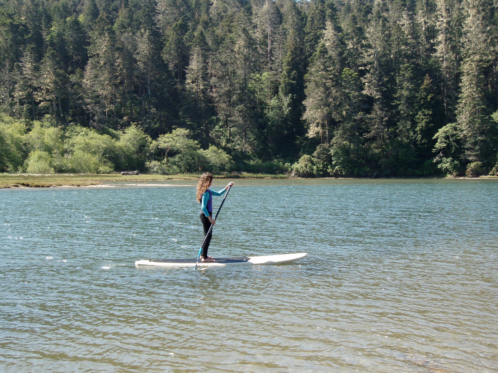 Kayak Mendocino, About Professionally guided Ocean kayak tours on the