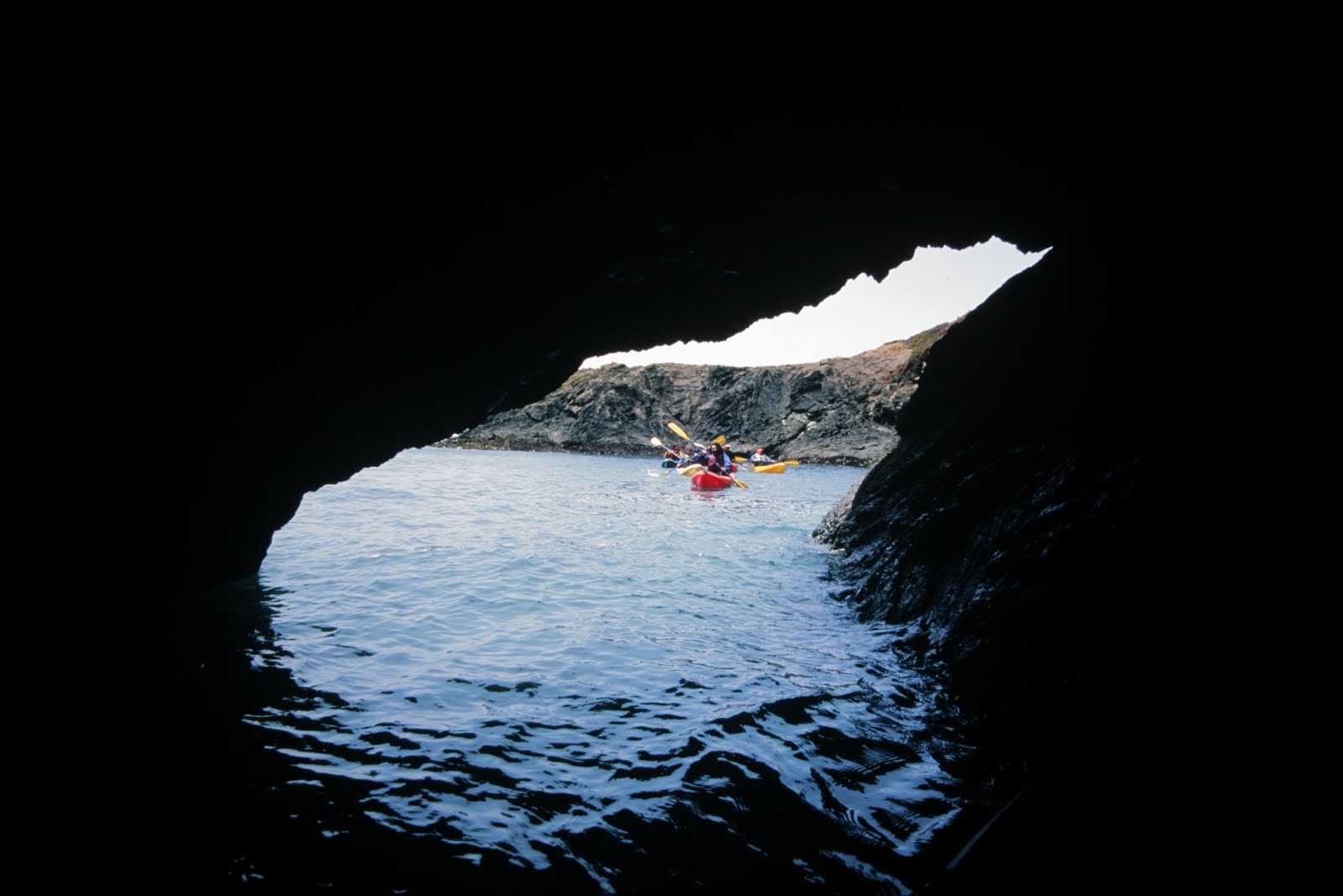 Kayak Mendocino, About Professionally guided Ocean kayak tours on the