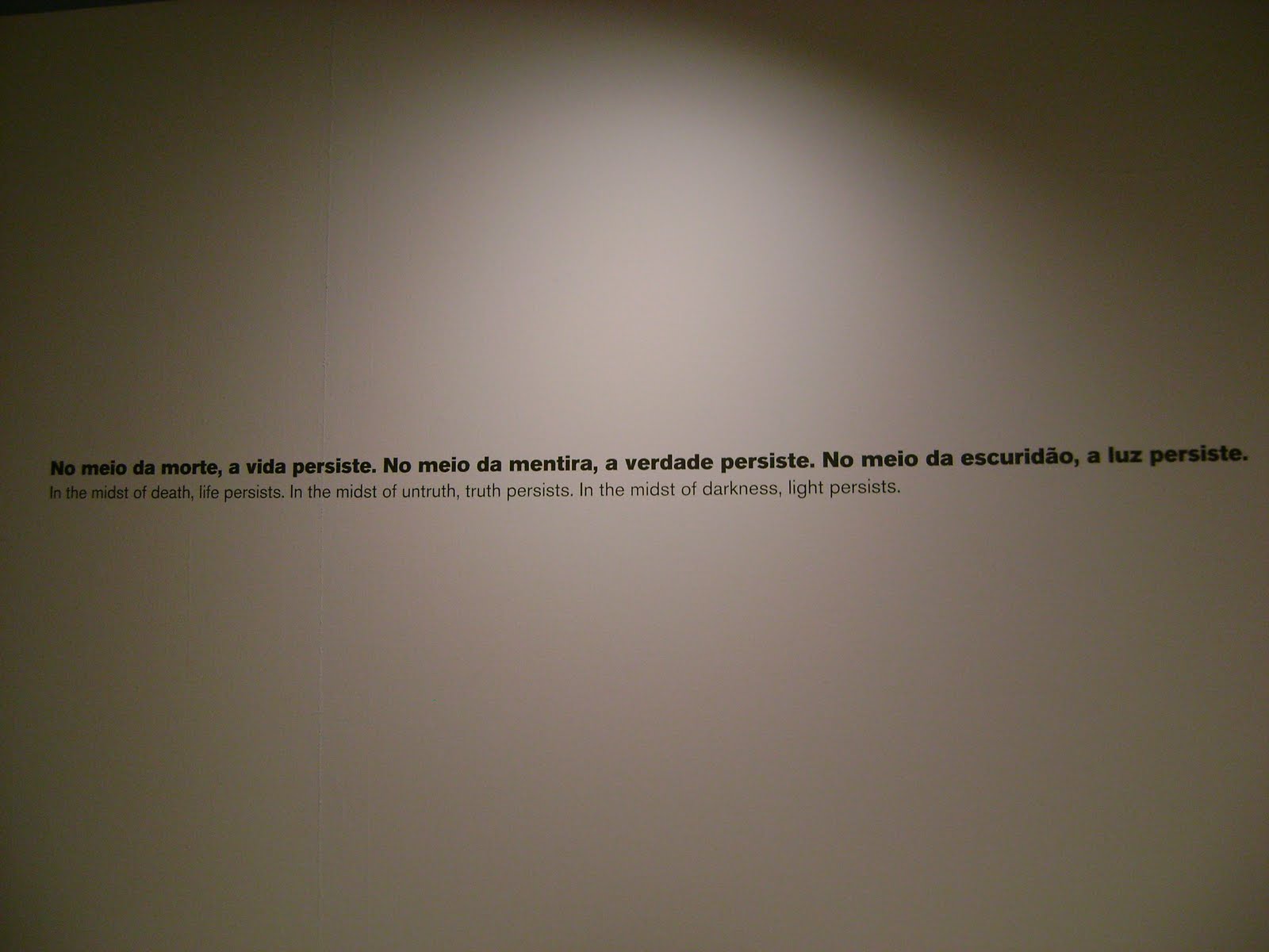 [DSC07433.JPG]