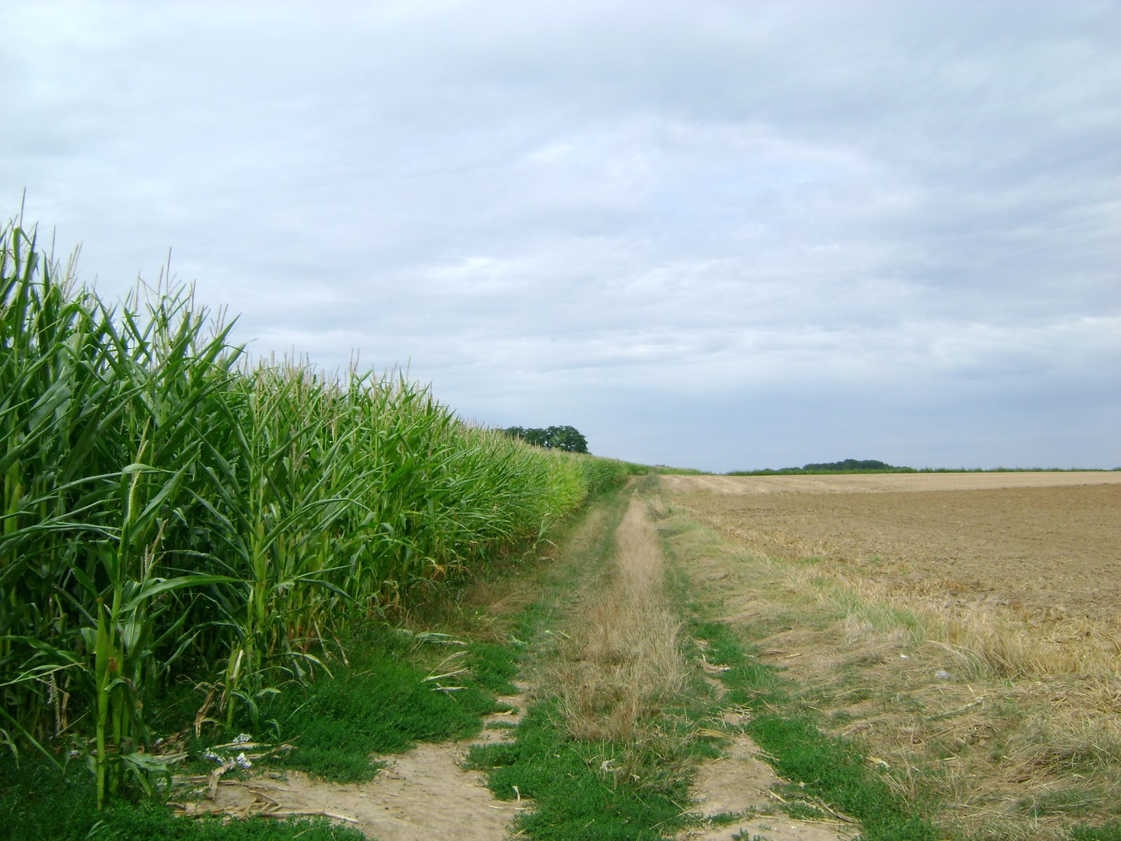 [DSC04123.JPG]