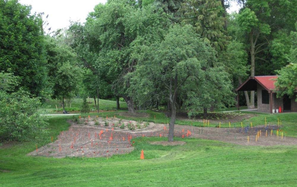 Brueckner Rhododendron Gardens: Rose Garden Design and Layout - Port