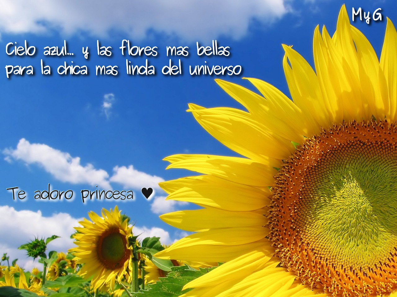 [CIELO+AZUL2...PNG]