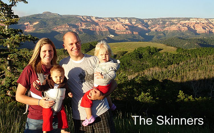 The Skinners