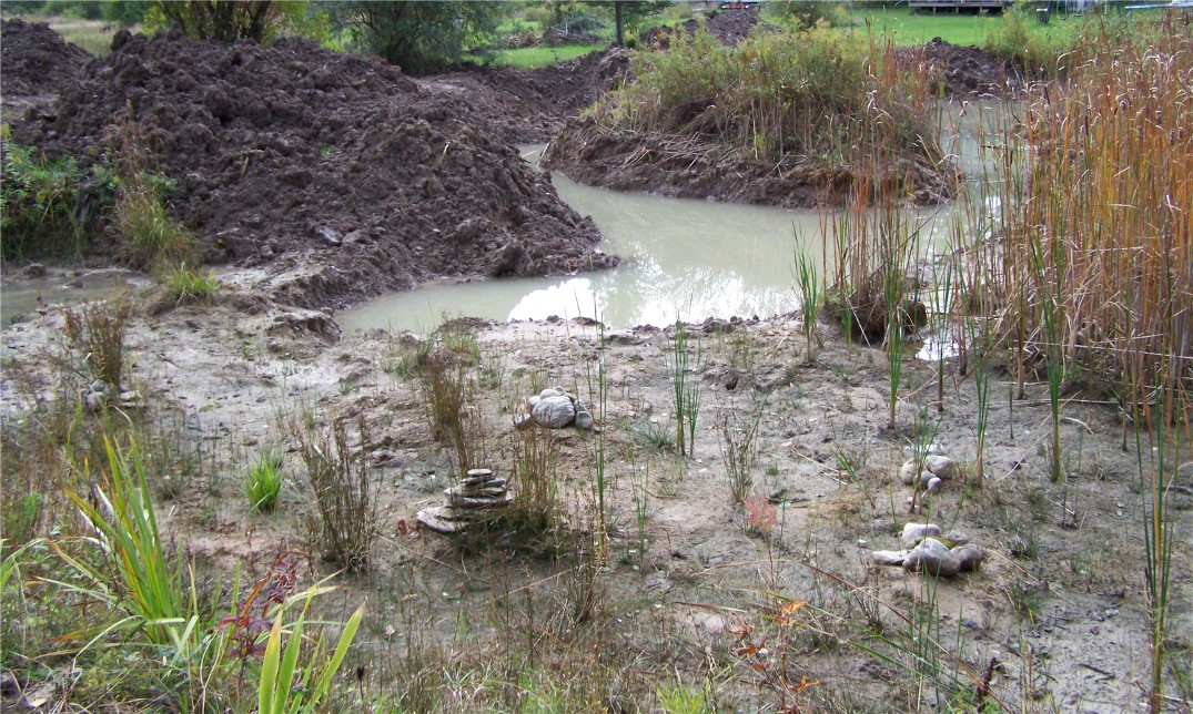 Restful Trails Food Forest Garden Water is filling in in the new pond dig