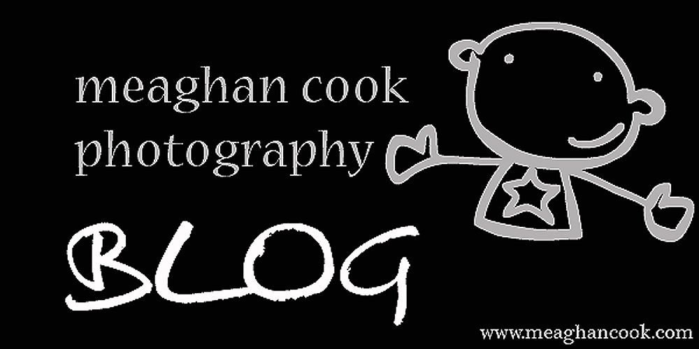 Meaghan Cook Photography BLOG