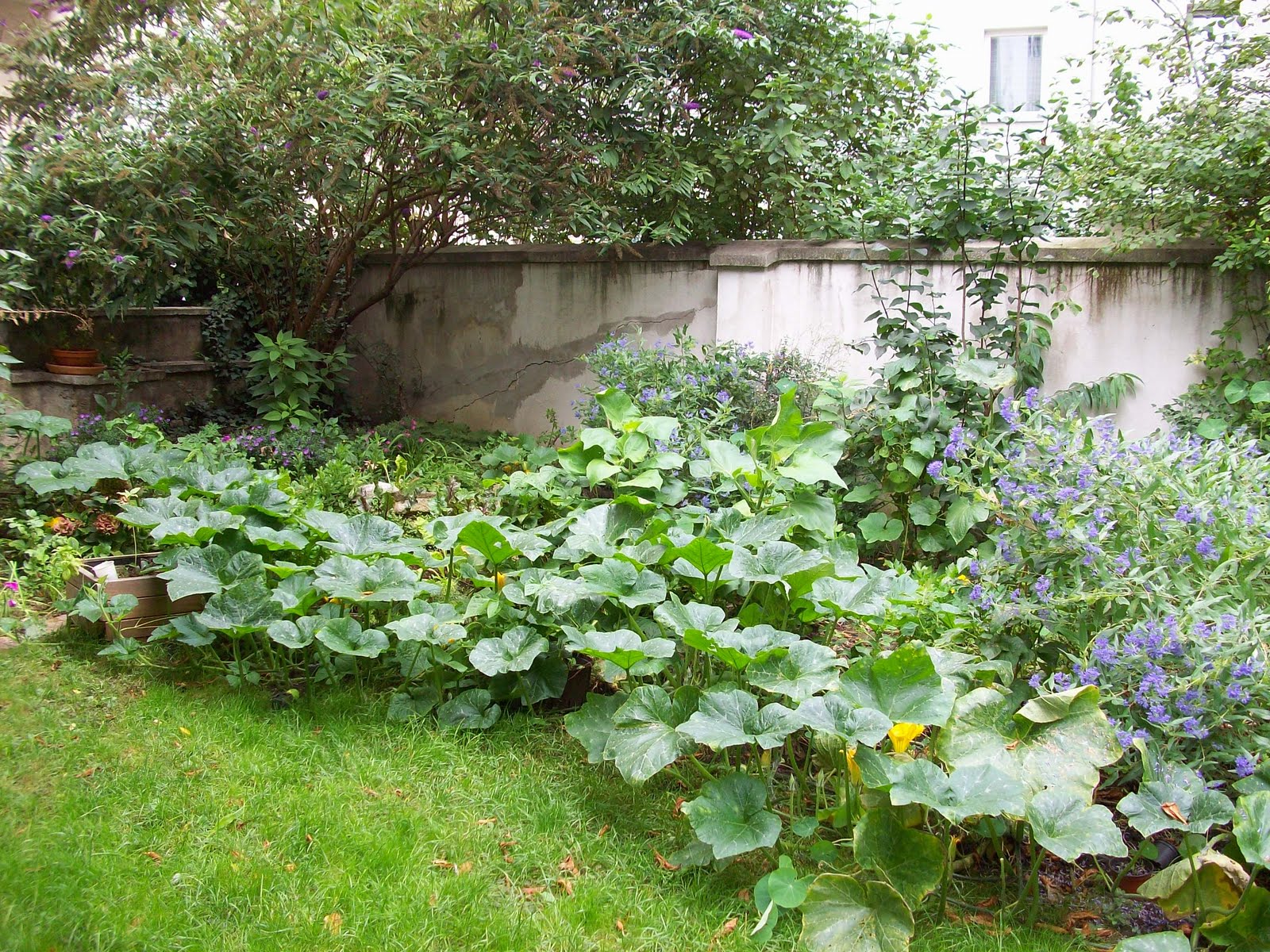 [100_0266.JPG]